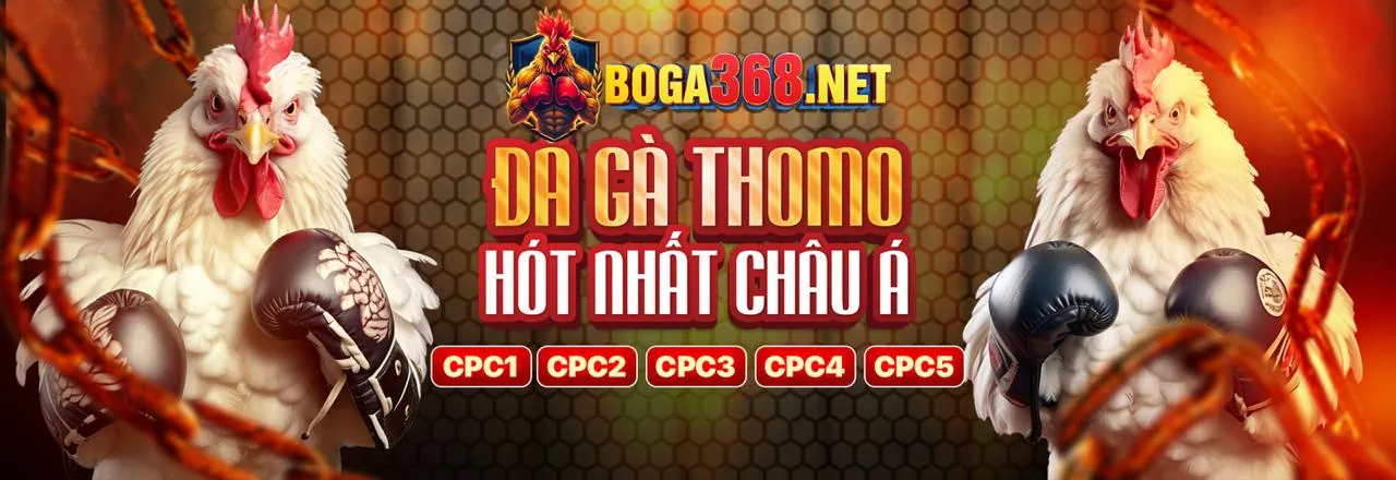 Câu hỏi thường gặp về LU388